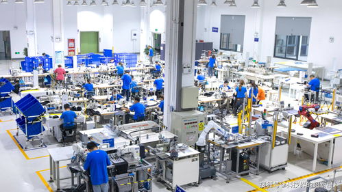 捂了三年，阿里的犀牛工廠到底在“織”什么？