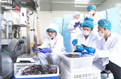 不是吧，食品檢測(cè)技術(shù)都這么先進(jìn)了嗎？生物技術(shù)推廣服務(wù)直擊行業(yè)痛點(diǎn)